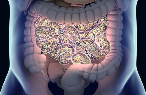 Microbiota saludable